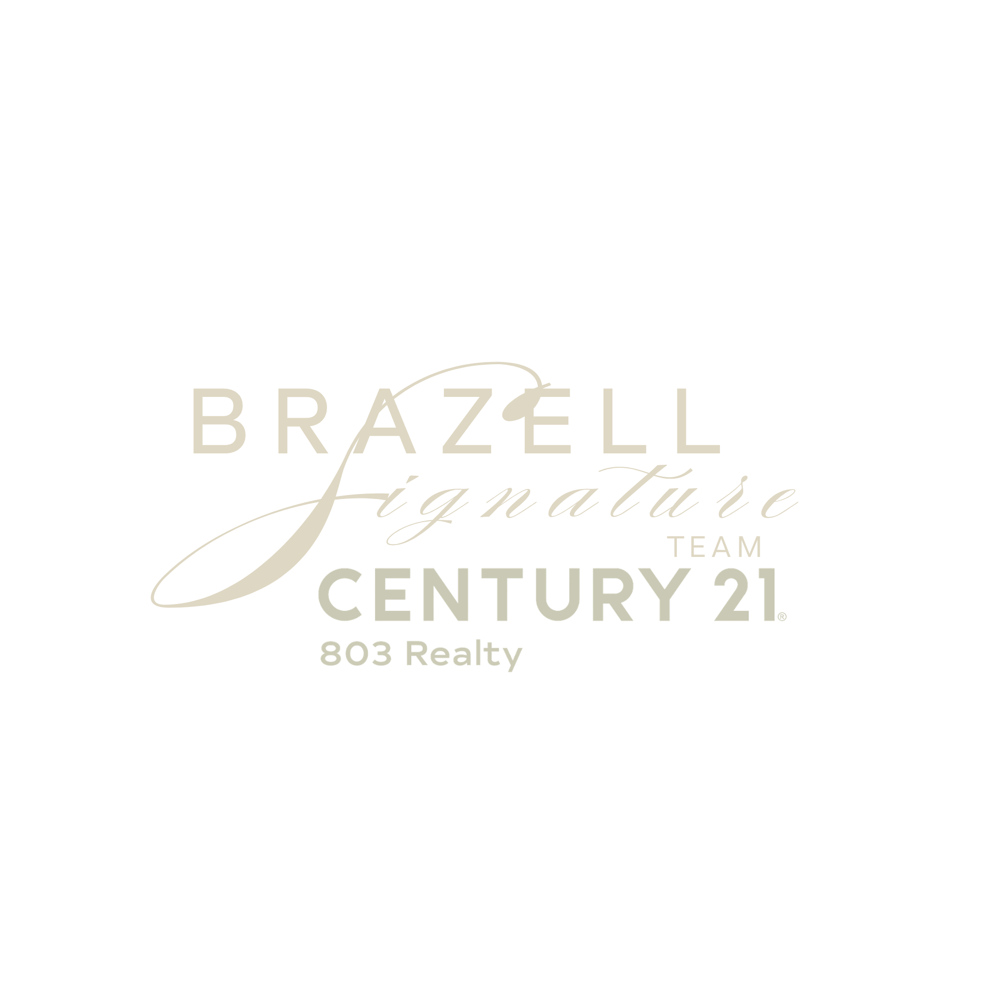 UPDATEDBSTC21LOGO.png